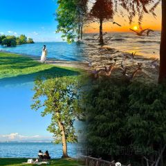 AI SHANG JUN User Photo