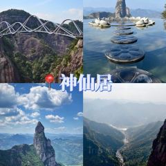王天顺海苔饼 User Photo