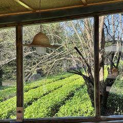 椿野咖啡馆(和顺店) User Photo