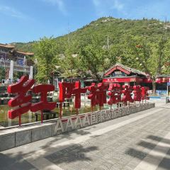 WEIDAOJIA MAMACAI User Photo