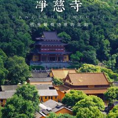 徐忠良傳統定勝糕（塔下街店）張用戶圖片