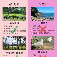 Ye Yu Jia User Photo