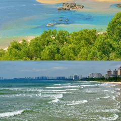 dan jia yu pai User Photo