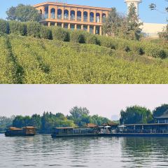 Xiexi Street Shaomai Shop User Photo