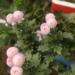 大别山商务酒店-餐饮部 User Photo