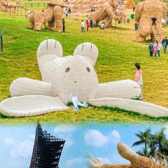 Zhan yi gong shi la zi Chicken (zhan yi) 여행 사진