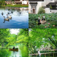 灵山酒酿 User Photo