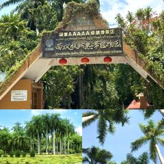 曼回索玉旺罕傣家乐 User Photo