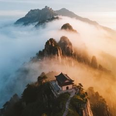 一尺稻田咖啡 User Photo