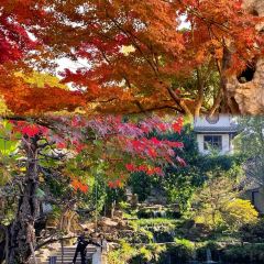 SHUDAXIA HOT POT User Photo