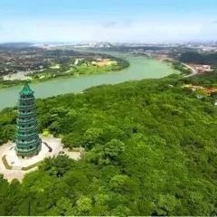 甘家界檸檬鴨(春暉店)張用戶圖片