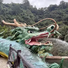 天桥底鸡煲 여행 사진