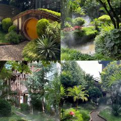 屋顶咖啡·日落甜茶·雪山花园 ·bistro 여행 사진