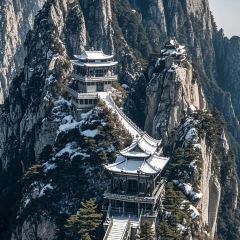 肖家郟縣餄餎面張用戶圖片