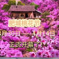 PIAN AI RESTAURANT User Photo