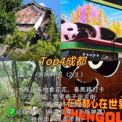 FRESH UNDER THE SEA User Photo