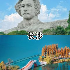 Tang you ba ba User Photo