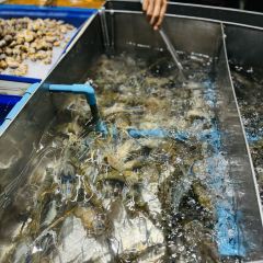 Jomtien Talay Pao User Photo