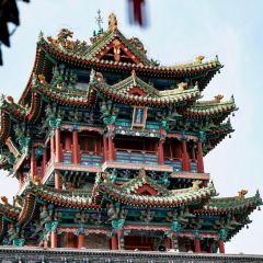 NA XING GU HE REN JI YANG ZA PU ER BU User Photo