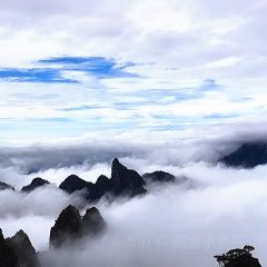 三清老媽菜（金沙店）張用戶圖片