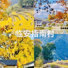 LIN SHANG REN JIA User Photo