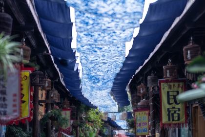 YANG PANG ZI SHAO KAO