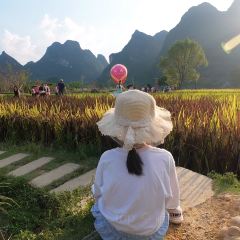 一尺稻田咖啡 User Photo