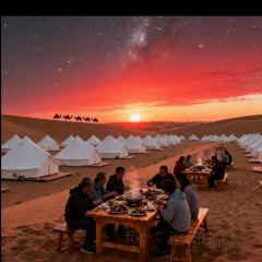 老马家羊杂碎店 User Photo