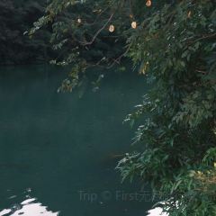 XIN SHI HUI User Photo