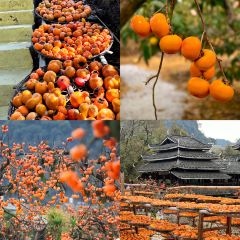 瑶乡饭店 여행 사진