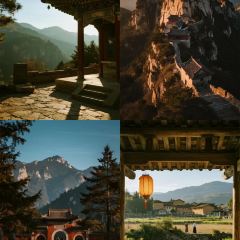 IN MY HEART User Photo