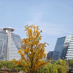 WOOBAR 여행 사진