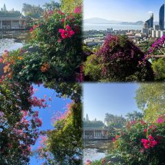 LIN JIA MIN NAN FLAVOR User Photo