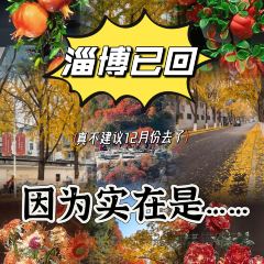 WEIDAOJIA MAMACAI User Photo