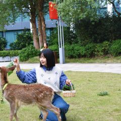 遂宁首座万豪酒店·大堂吧 User Photo