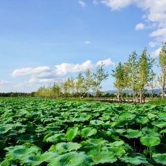 燕子湖农荘 User Photo