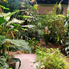 泰椰天香·江景六国料理 User Photo