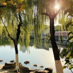 Zhengweizhaiguobacai(Xi Bei Jiao Dian ) User Photo