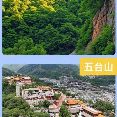 LIN SHANG REN JIA User Photo