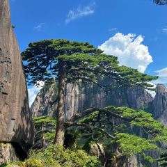 灵山酒酿 User Photo