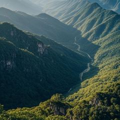 甘家界牌檸檬鴨(東葛店)張用戶圖片