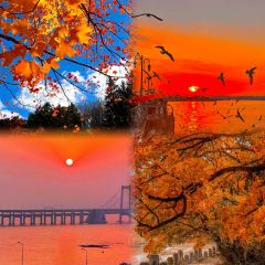 SEAF0OD MASTER User Photo