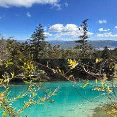 玉龙白沙玉湖人家客栈 User Photo