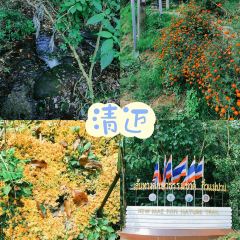 仓桥直街臭豆腐 User Photo