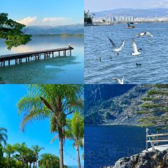 胡四哥特色火盆烧烤(总店) User Photo