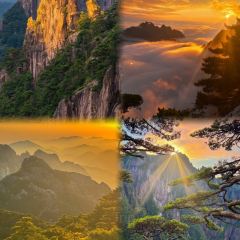 灵山酒酿 User Photo