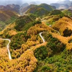 XIANG WEI CUN GU CHANG CAI User Photo