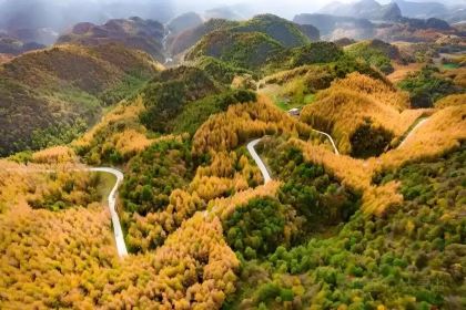 XIANG WEI CUN GU CHANG CAI