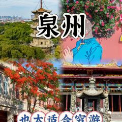 Auntie Jijia User Photo