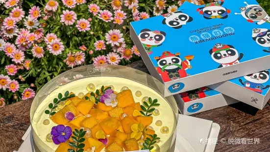 熊猫叮咚·生日蛋糕(九龙坡店)